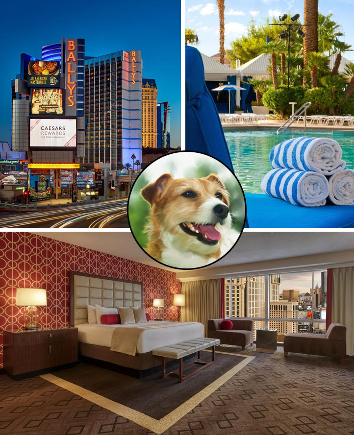 Bally's Las Vegas pet friendly hotel